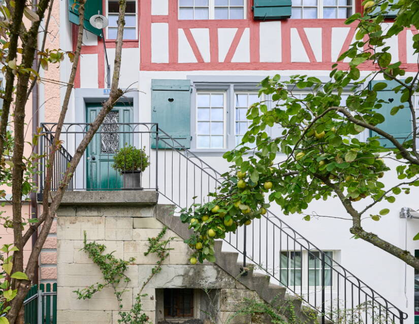 bauwerkstadt_meilen_sanierung_fassade_denkmalschutz_2025_fotogataric_028.jpg bauwerkstadt_meilen_sanierung_fassade_denkmalschutz_2025_fotogataric_028.jpg